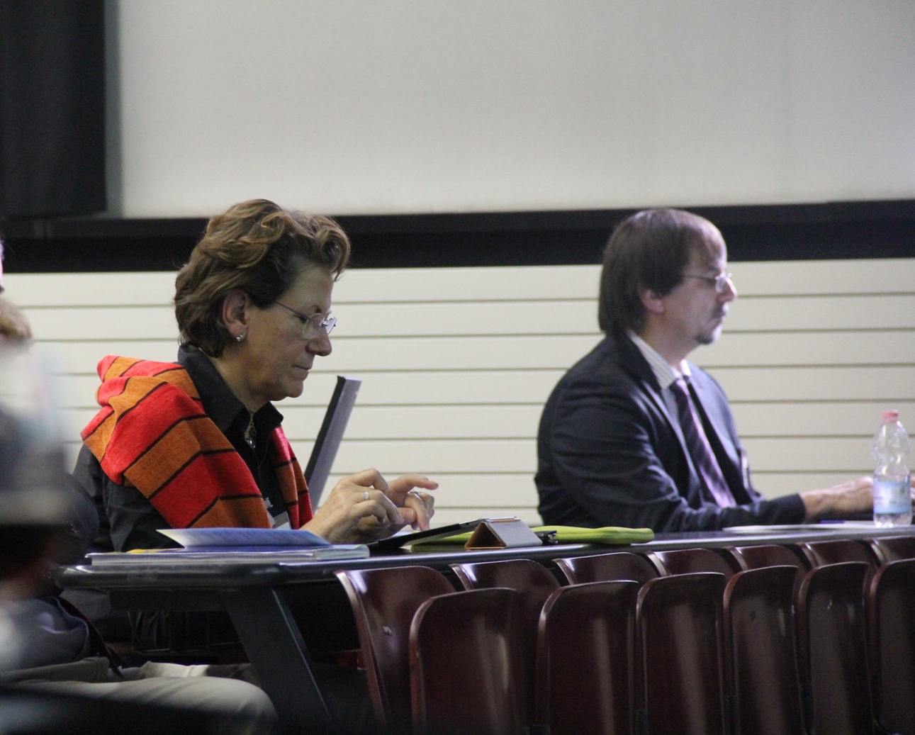 Letizia Tanca, Chair ECSS 2011