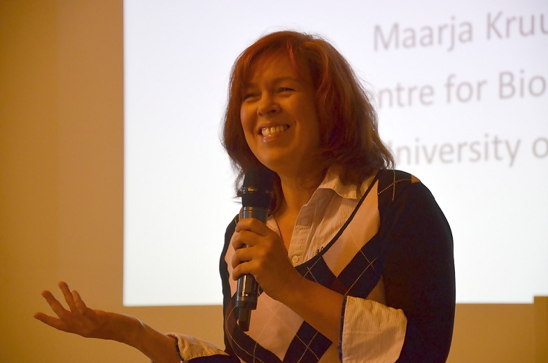 Maarja Kruusma, Tallinn University of Technology