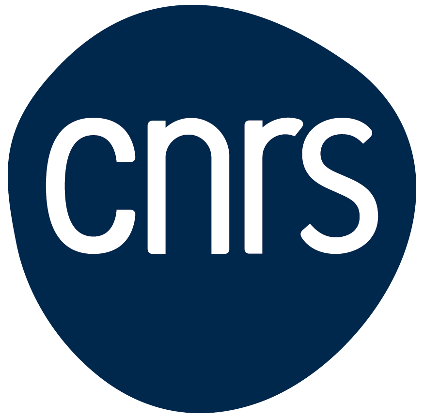LOGO CNRS BLEU