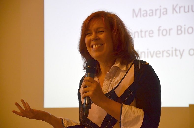 Maarja Kruusma, Tallinn University of Technology